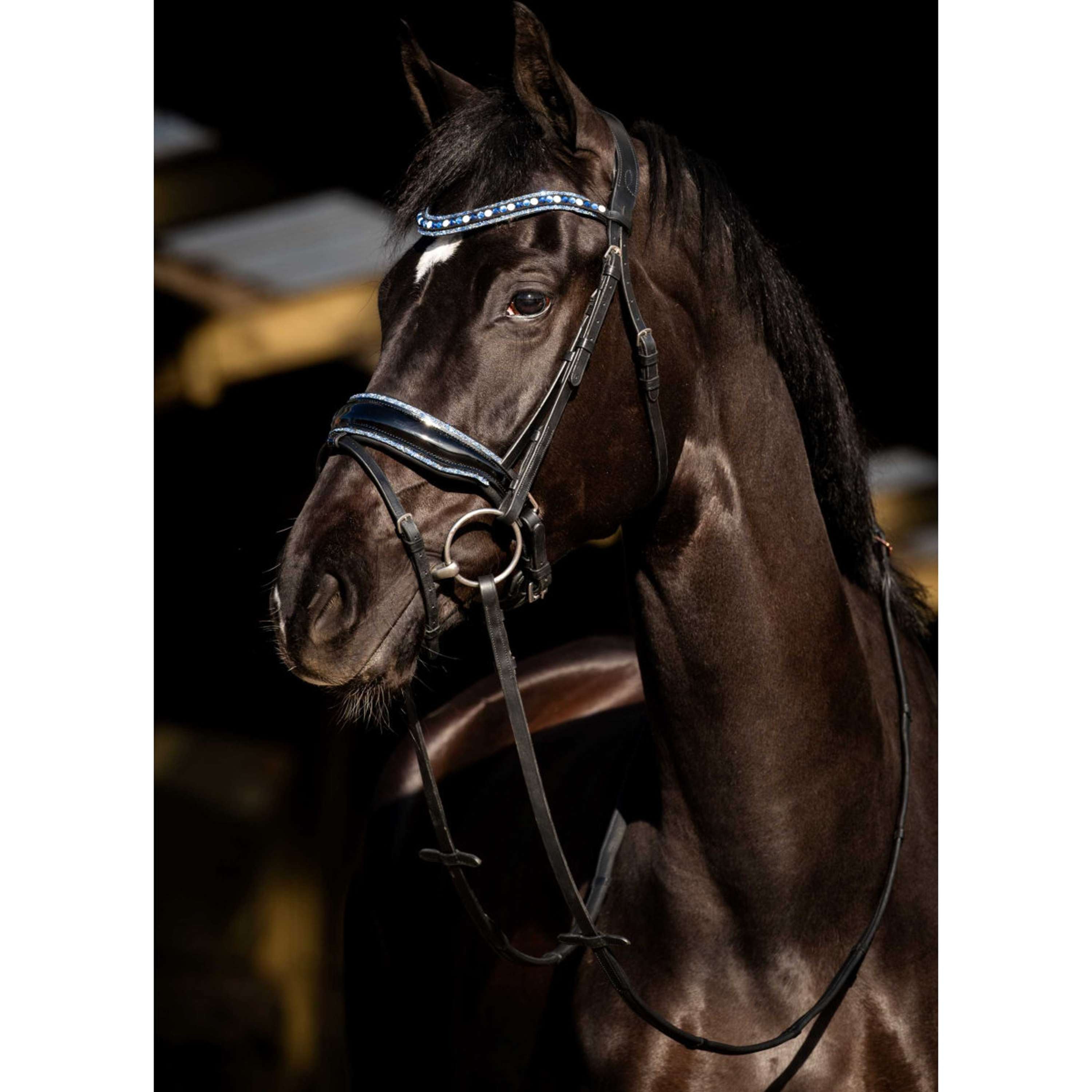 HB Bridle Blue Ocean Black