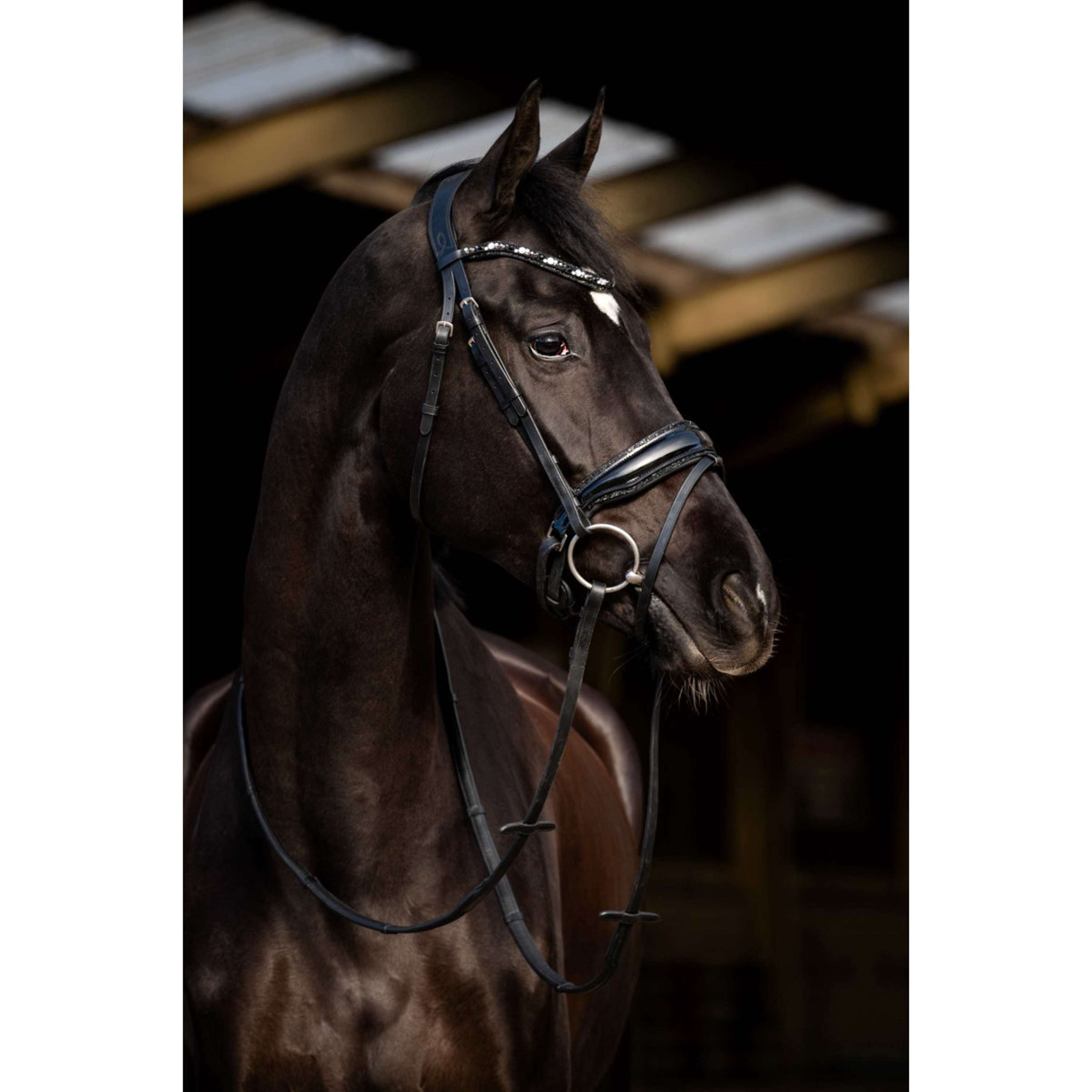 HB Bridle Dark Eagle Black