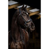 HB Bridle Dark Eagle Black