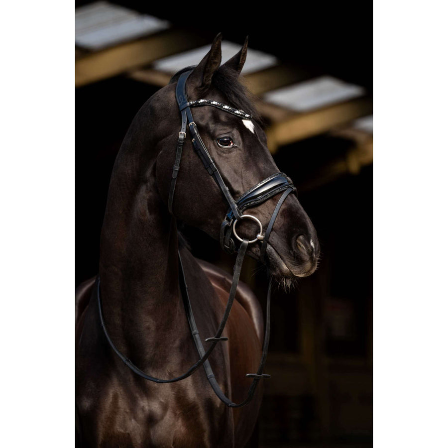 HB Bridle Dark Eagle Black