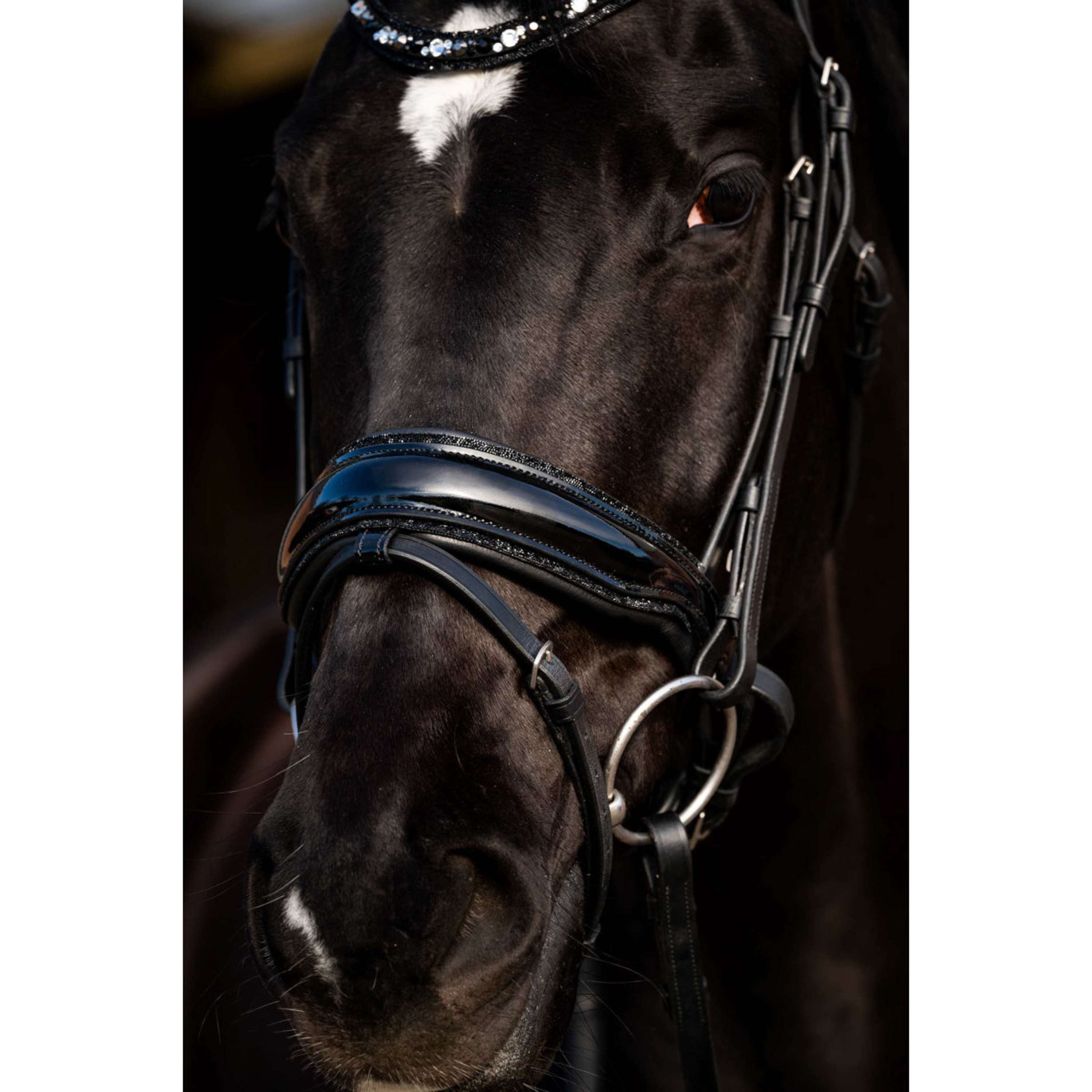 HB Bridle Dark Eagle Black