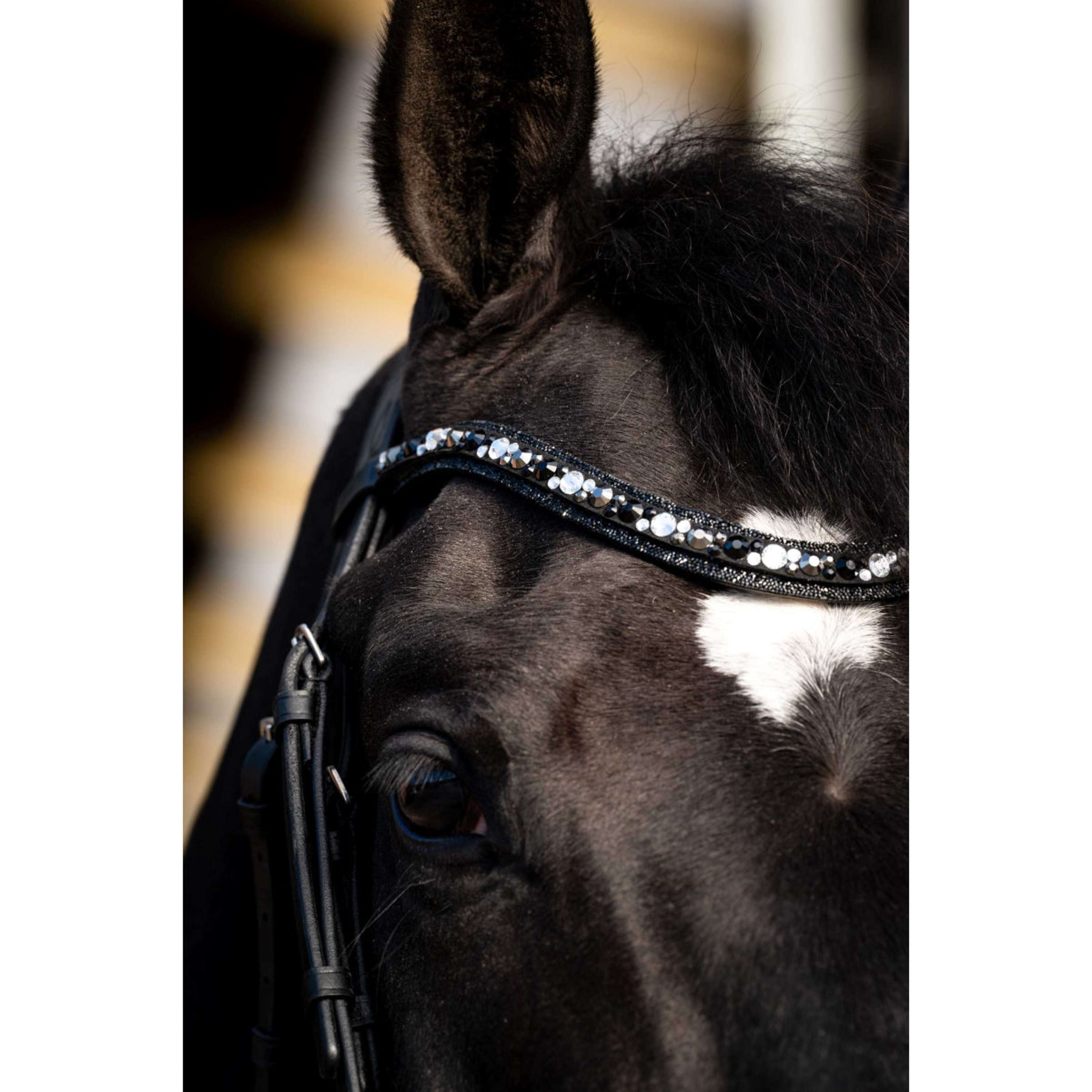 HB Bridle Dark Eagle Black