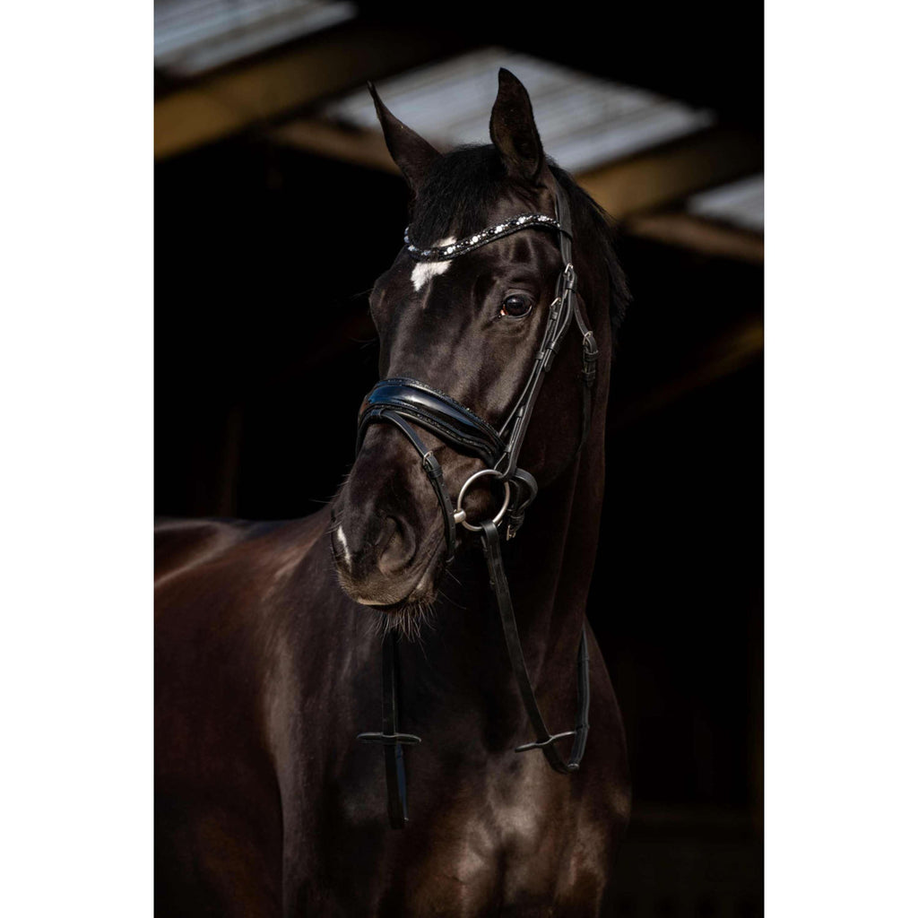 HB Bridle Dark Eagle Black