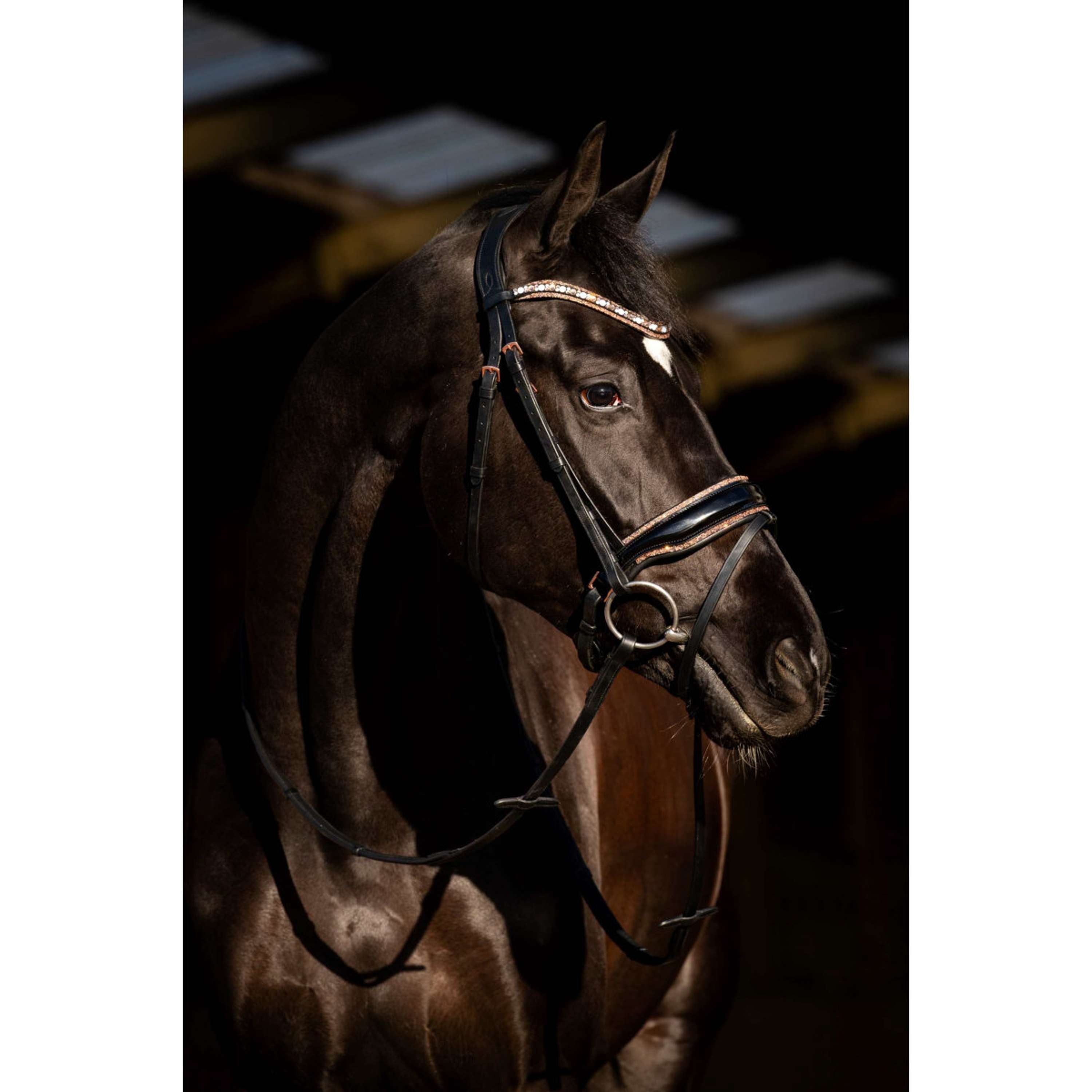HB Bridle Copper Sky Black