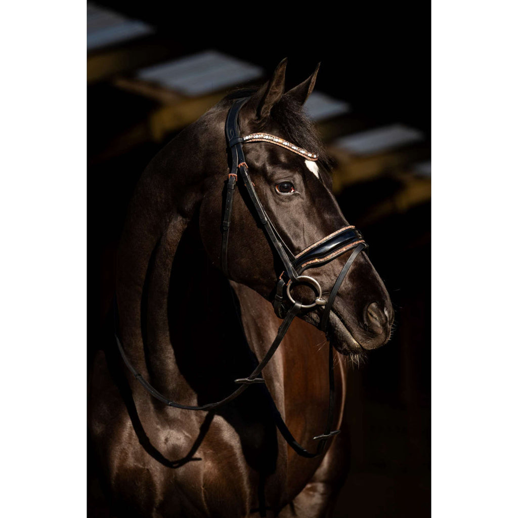 HB Bridle Copper Sky Black