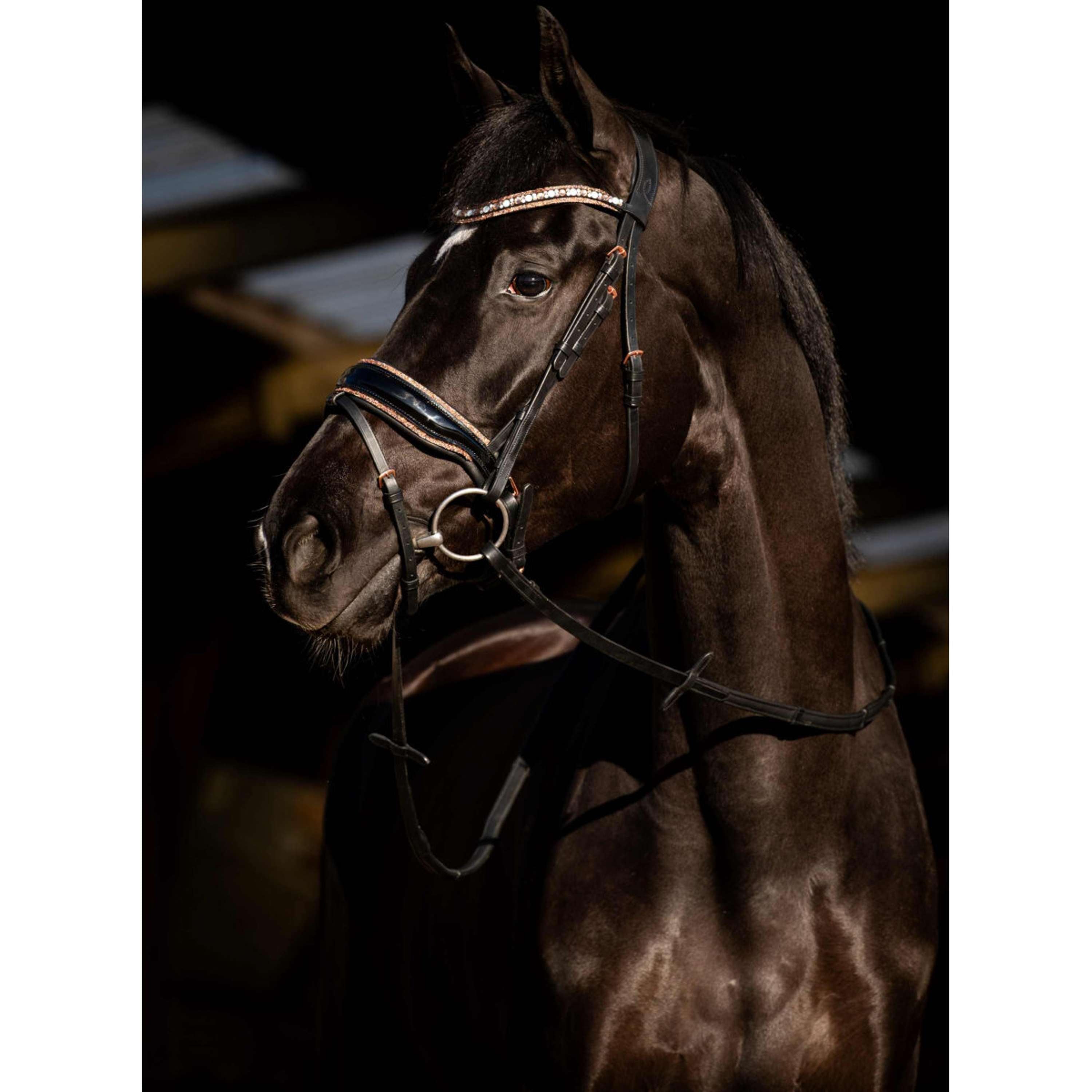 HB Bridle Copper Sky Black