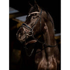 HB Bridle Copper Sky Black