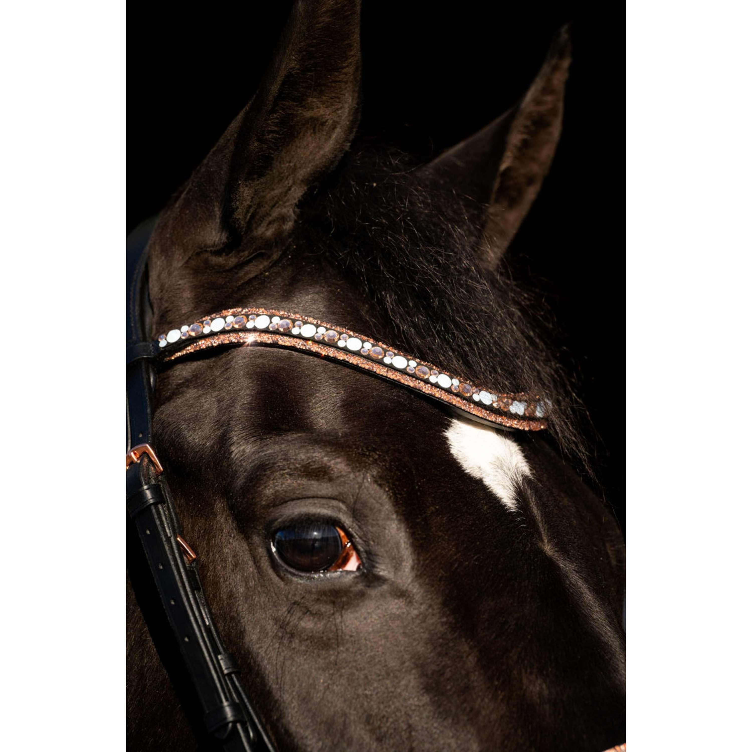 HB Bridle Copper Sky Black