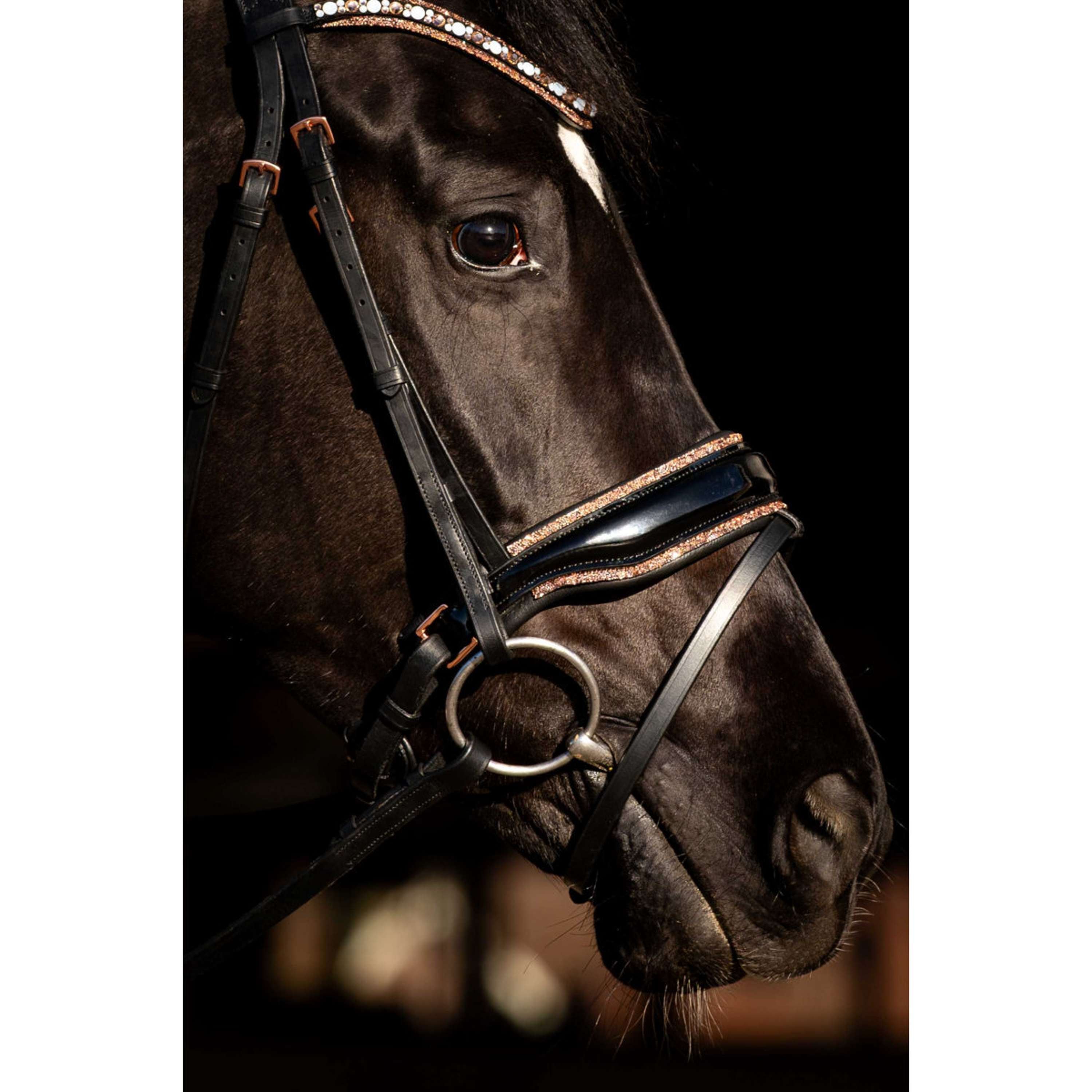 HB Bridle Copper Sky Black