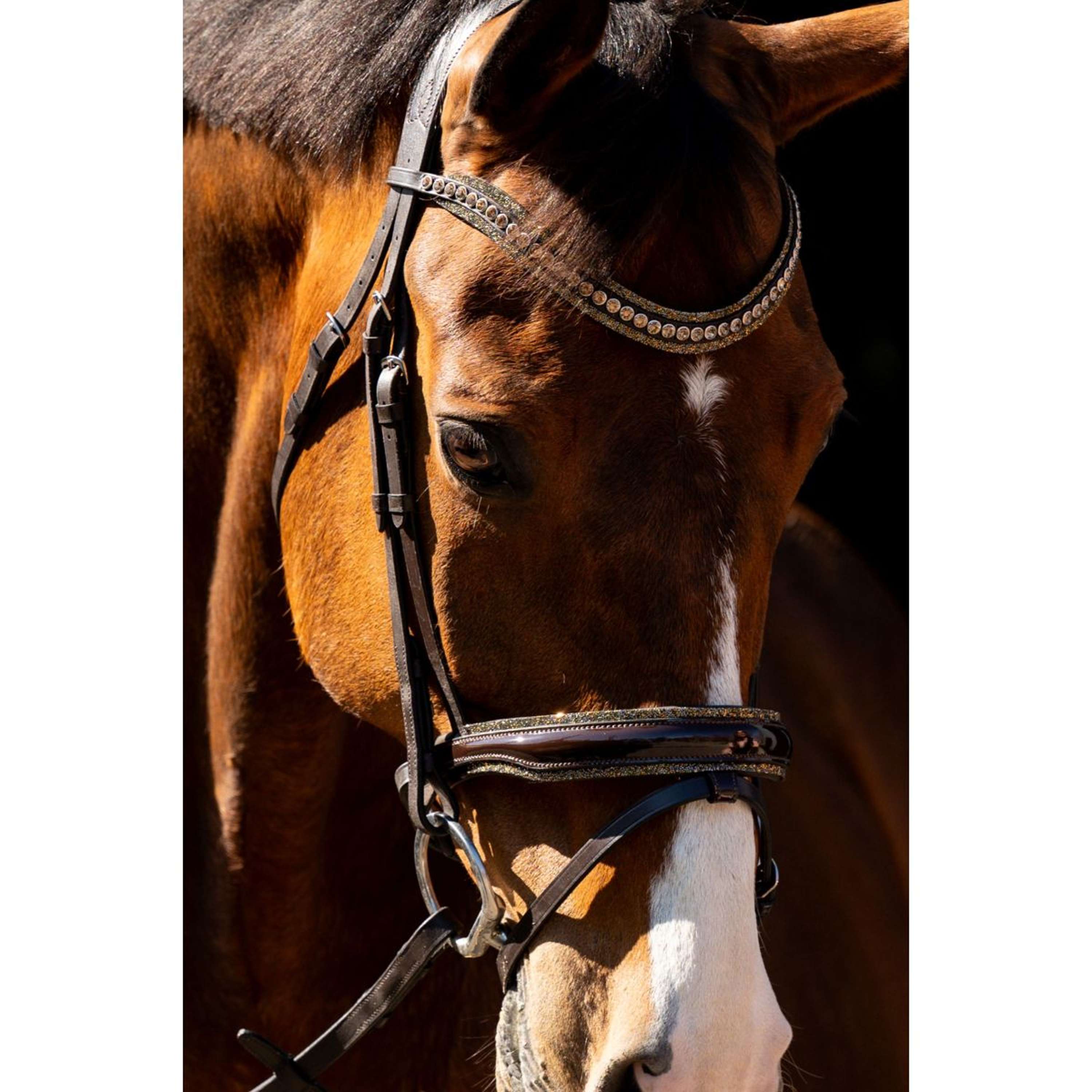 HB Bridle Jump Rocky Glitter Brown