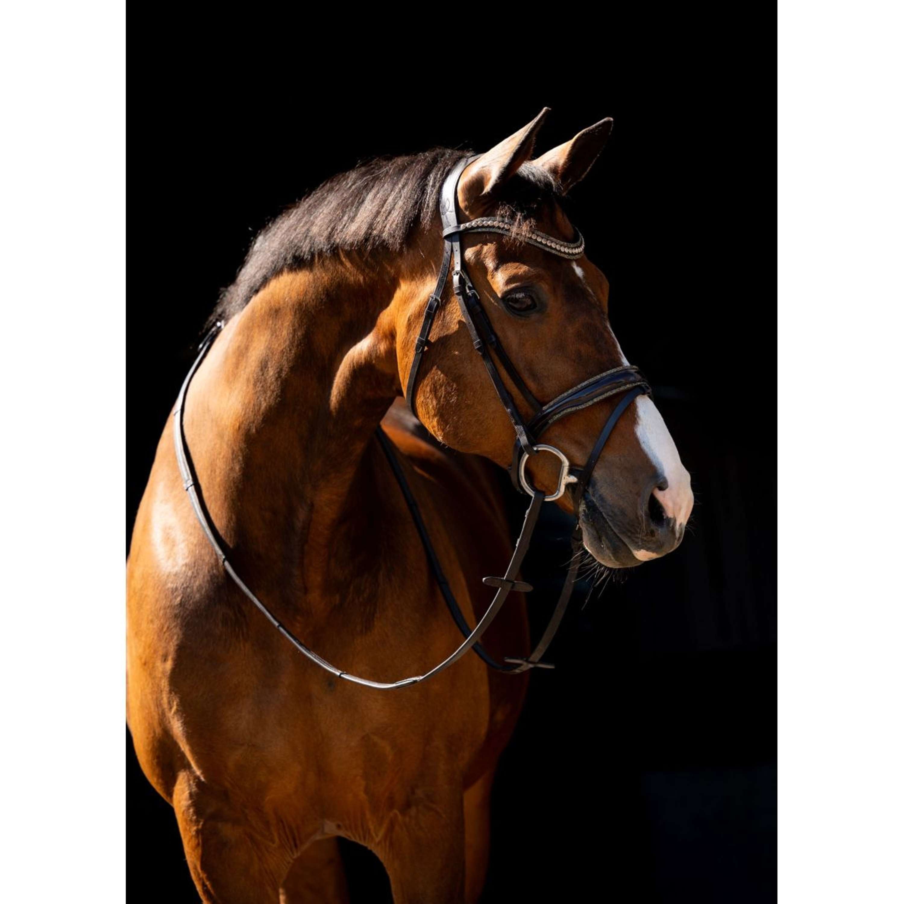 HB Bridle Jump Rocky Glitter Brown