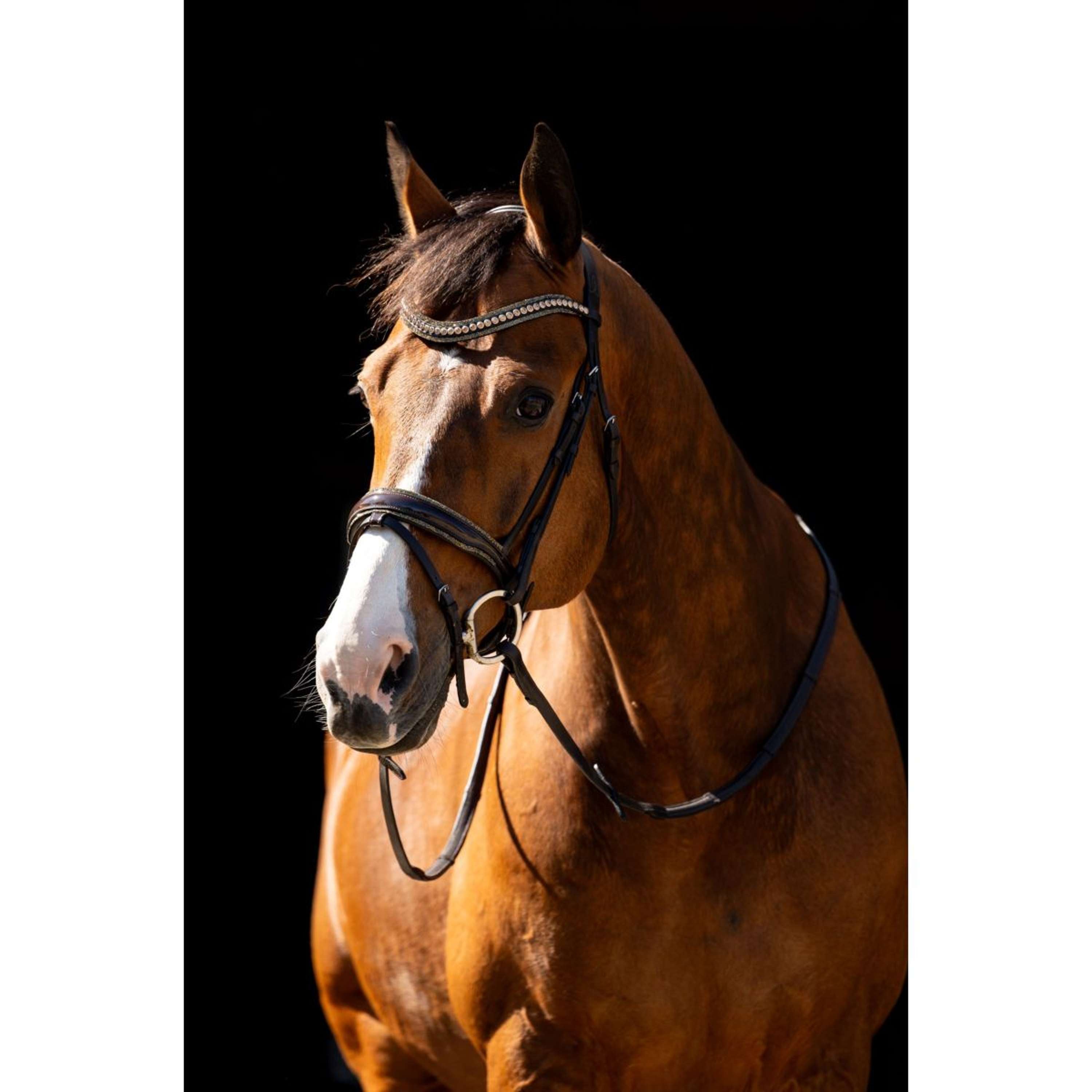 HB Bridle Jump Rocky Glitter Brown