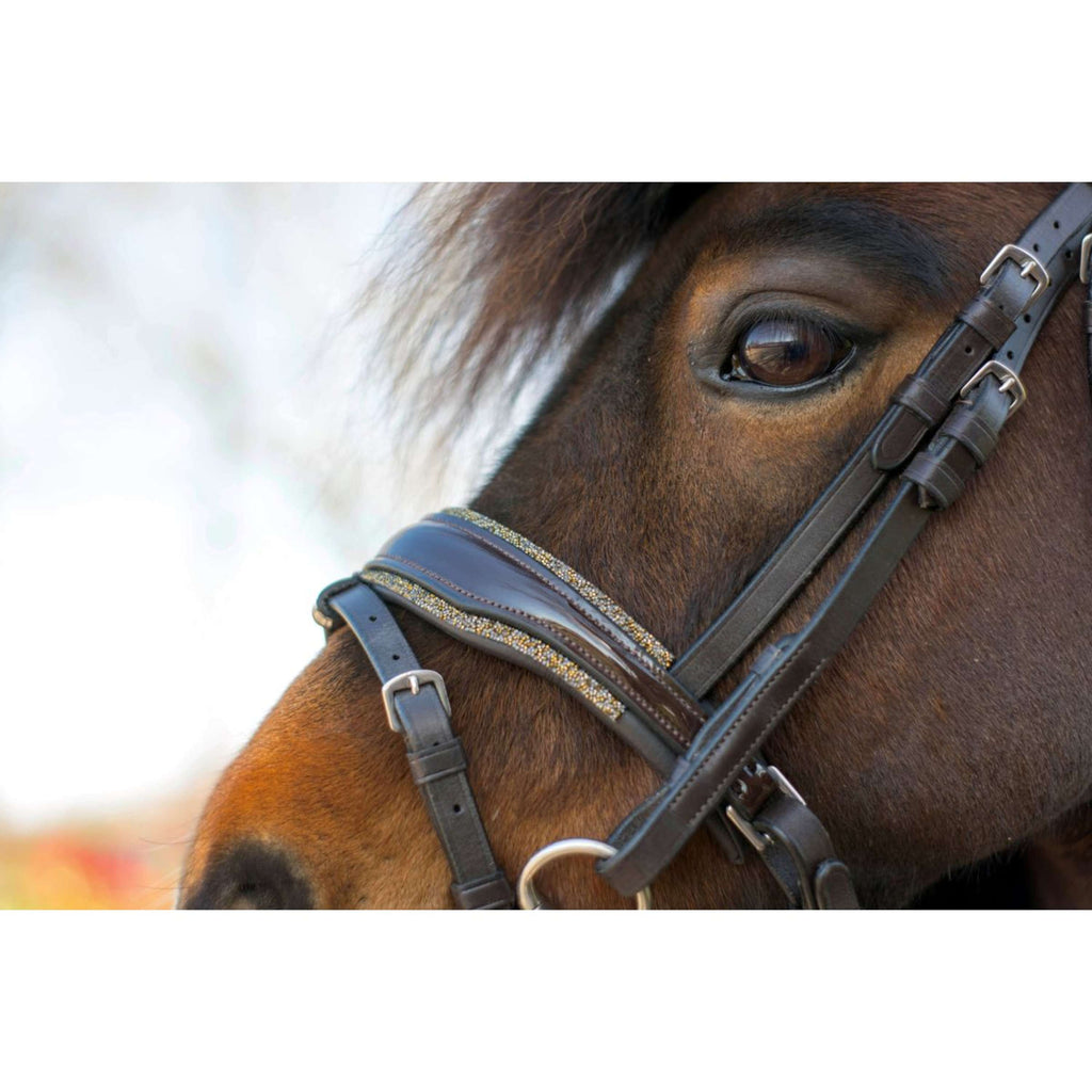 HB Bridle Rocky Glitter Brown