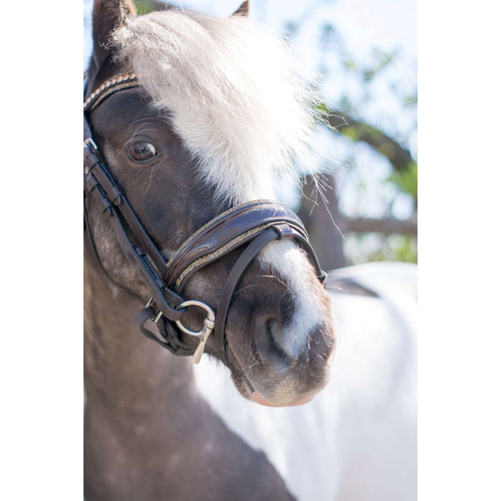 HB Bridle Rocky Glitter Brown