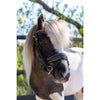 HB Bridle Rocky Glitter Brown