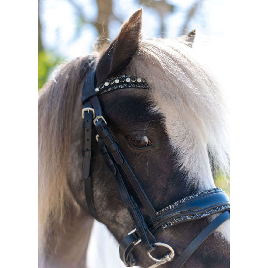 HB Bridle Rocky Glitter/Black