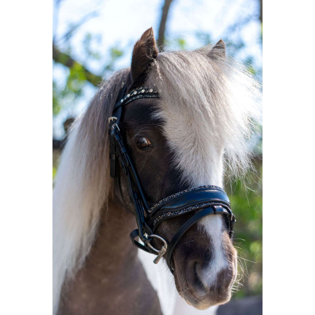 HB Bridle Rocky Glitter/Black