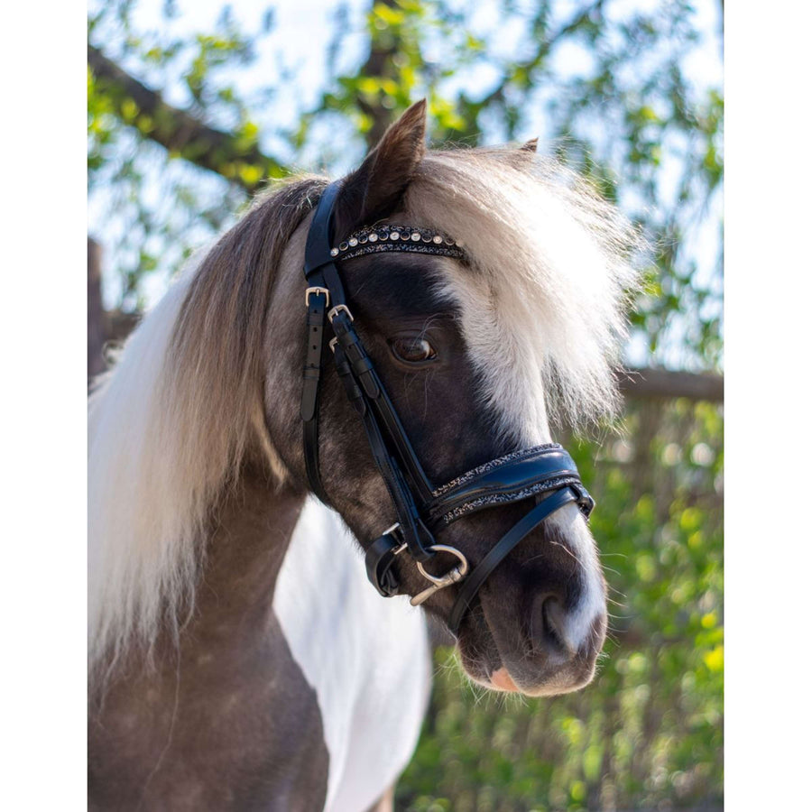 HB Bridle Rocky Glitter/Black