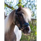 HB Bridle Rocky Glitter/Black