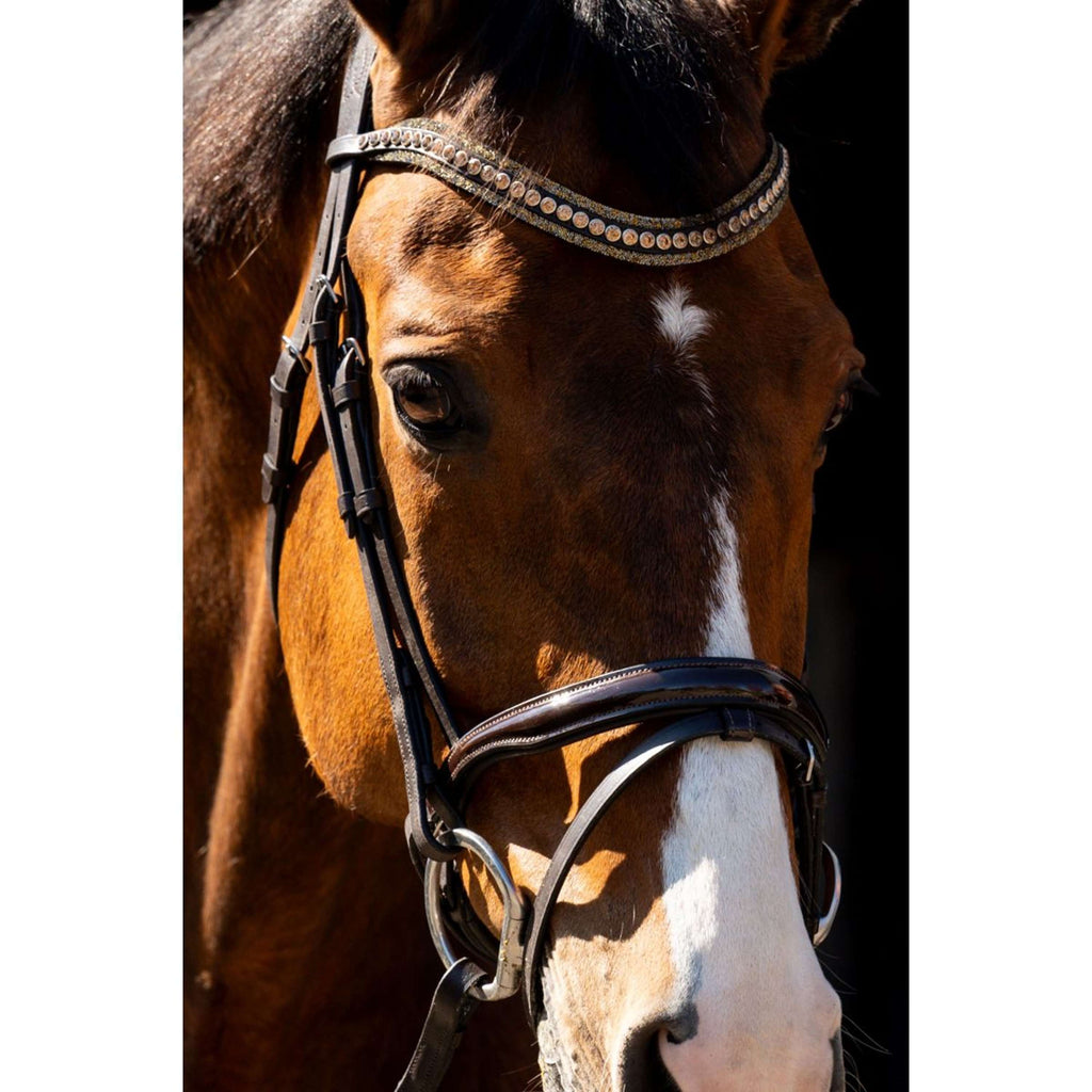 HB Bridle Jump Brown
