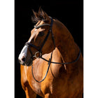 HB Bridle Jump Brown
