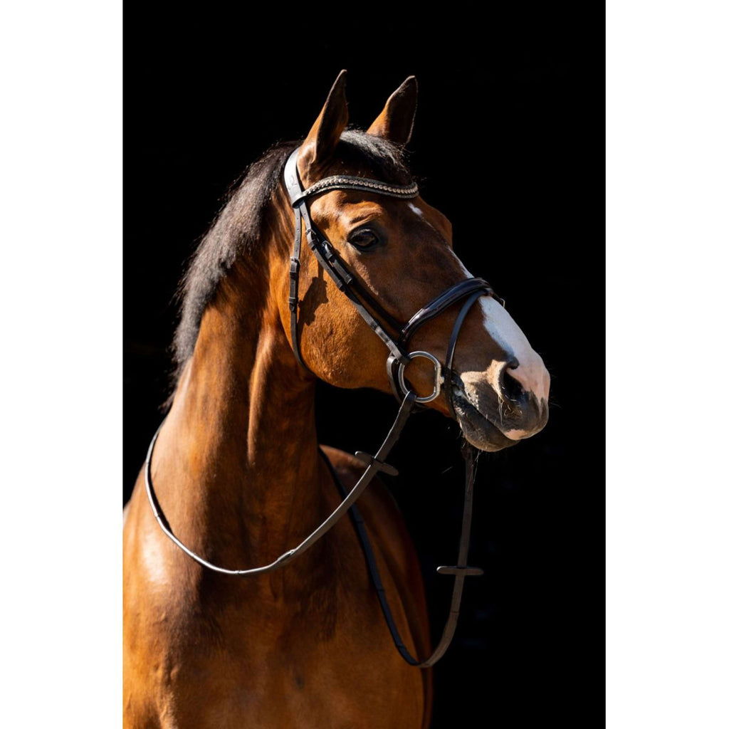 HB Bridle Jump Brown