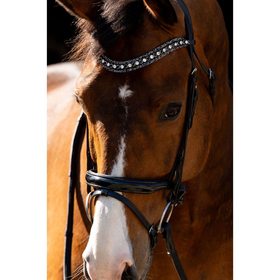 HB Bridle Jump Black