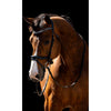 HB Bridle Jump Black