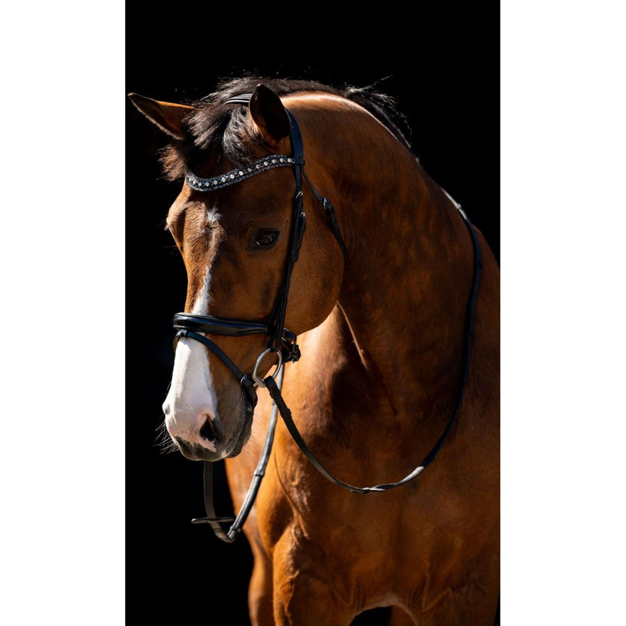 HB Bridle Jump Black