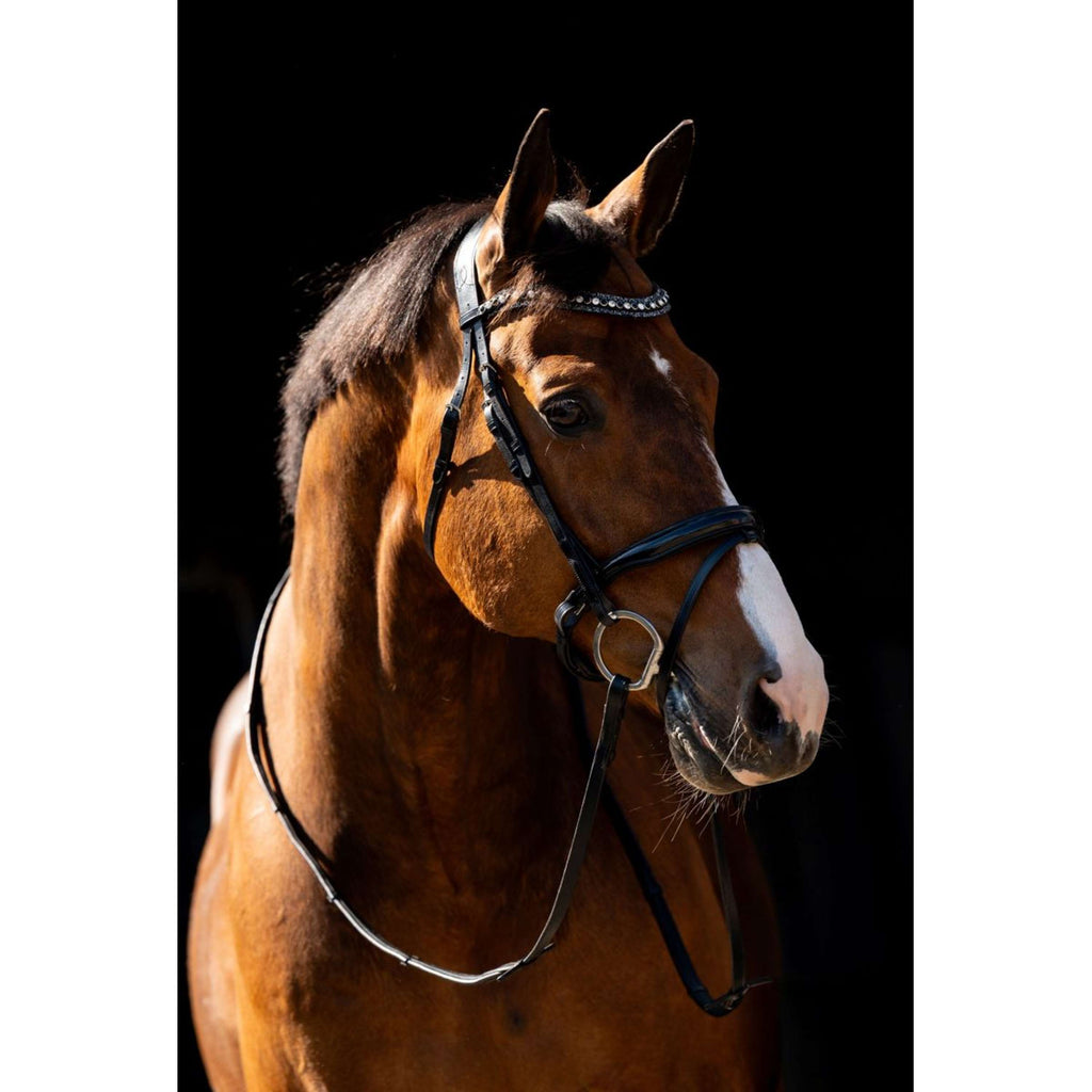 HB Bridle Jump Black
