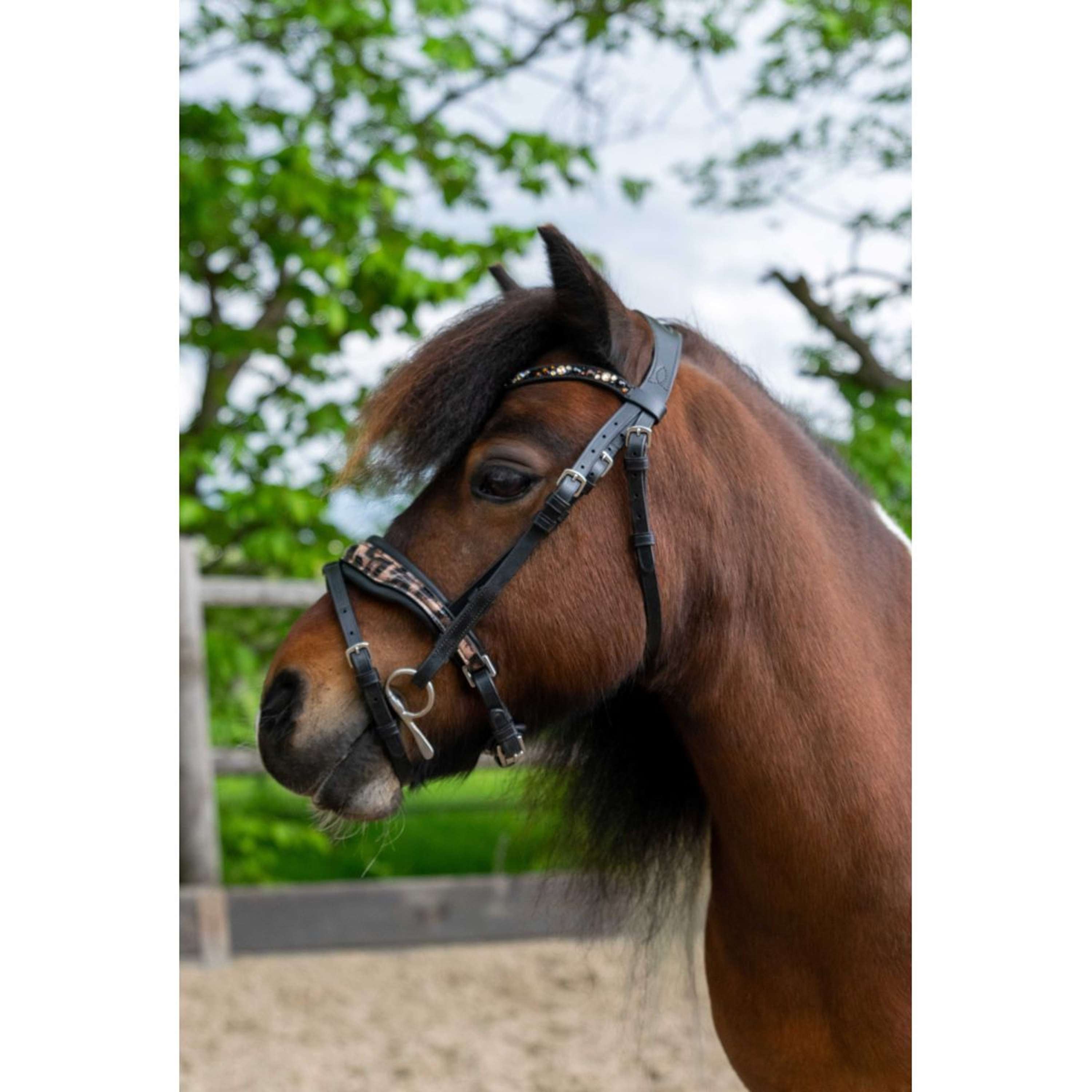 HB Ruitersport Bridle Showtime Leopard Black