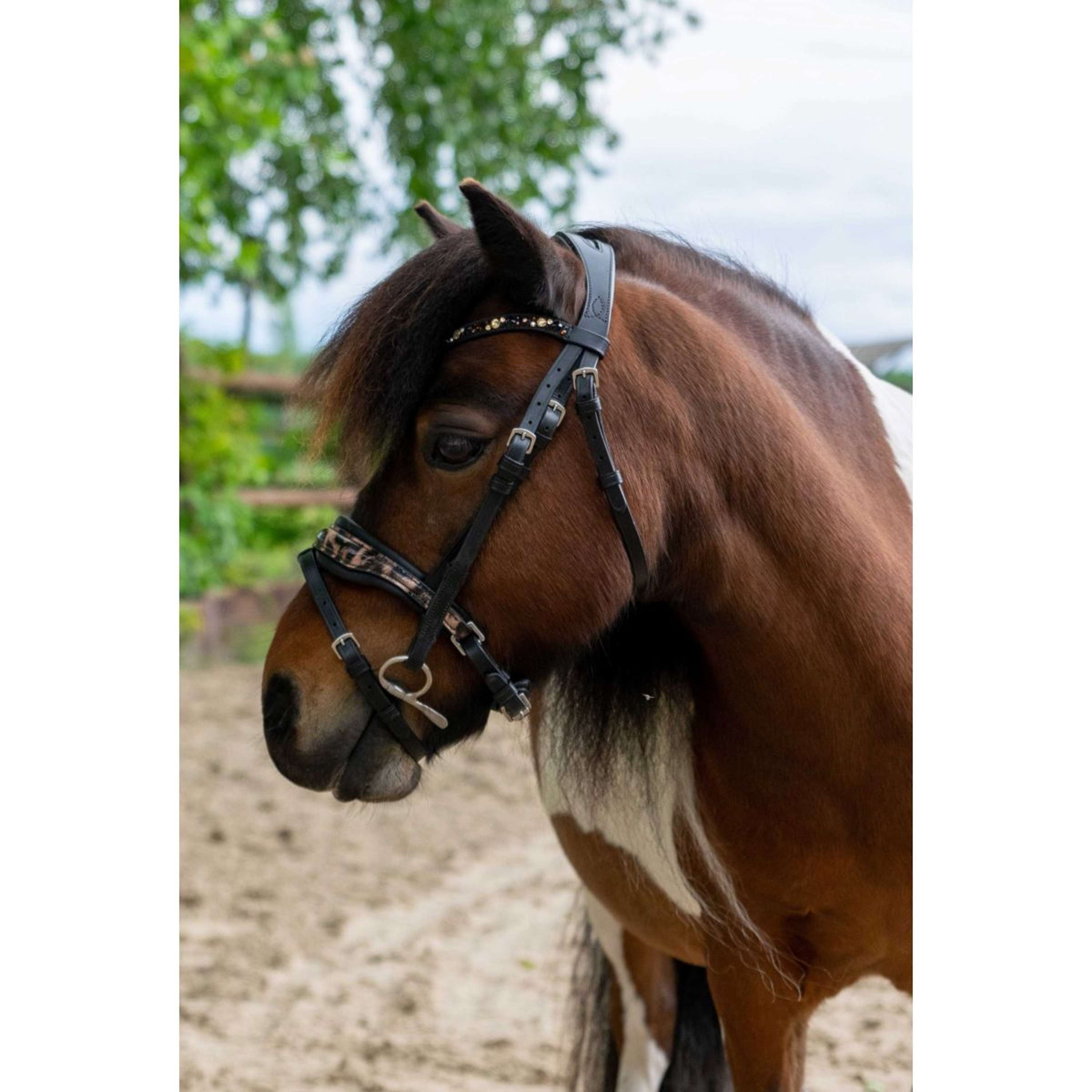 HB Ruitersport Bridle Showtime Leopard Black