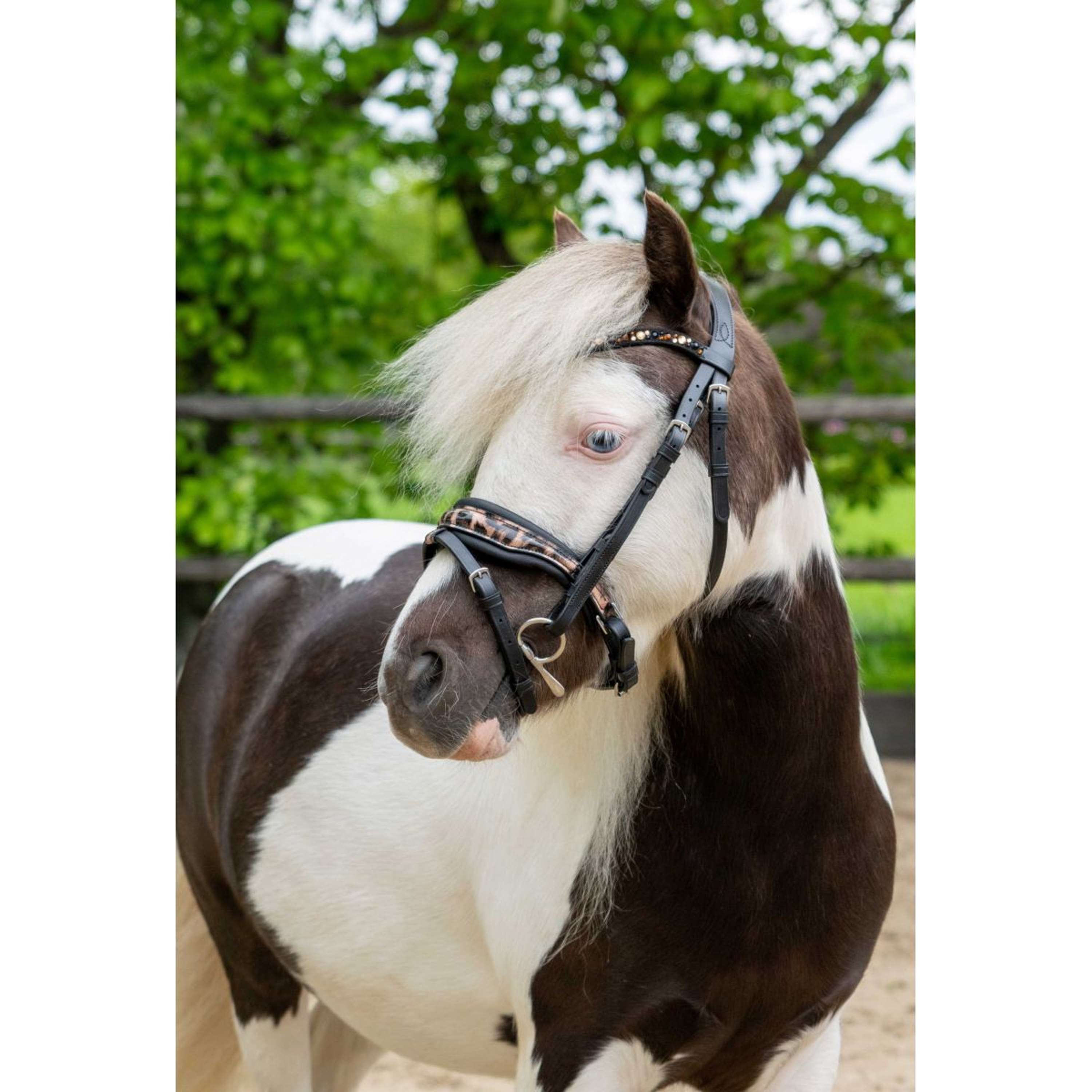 HB Ruitersport Bridle Showtime Leopard Black