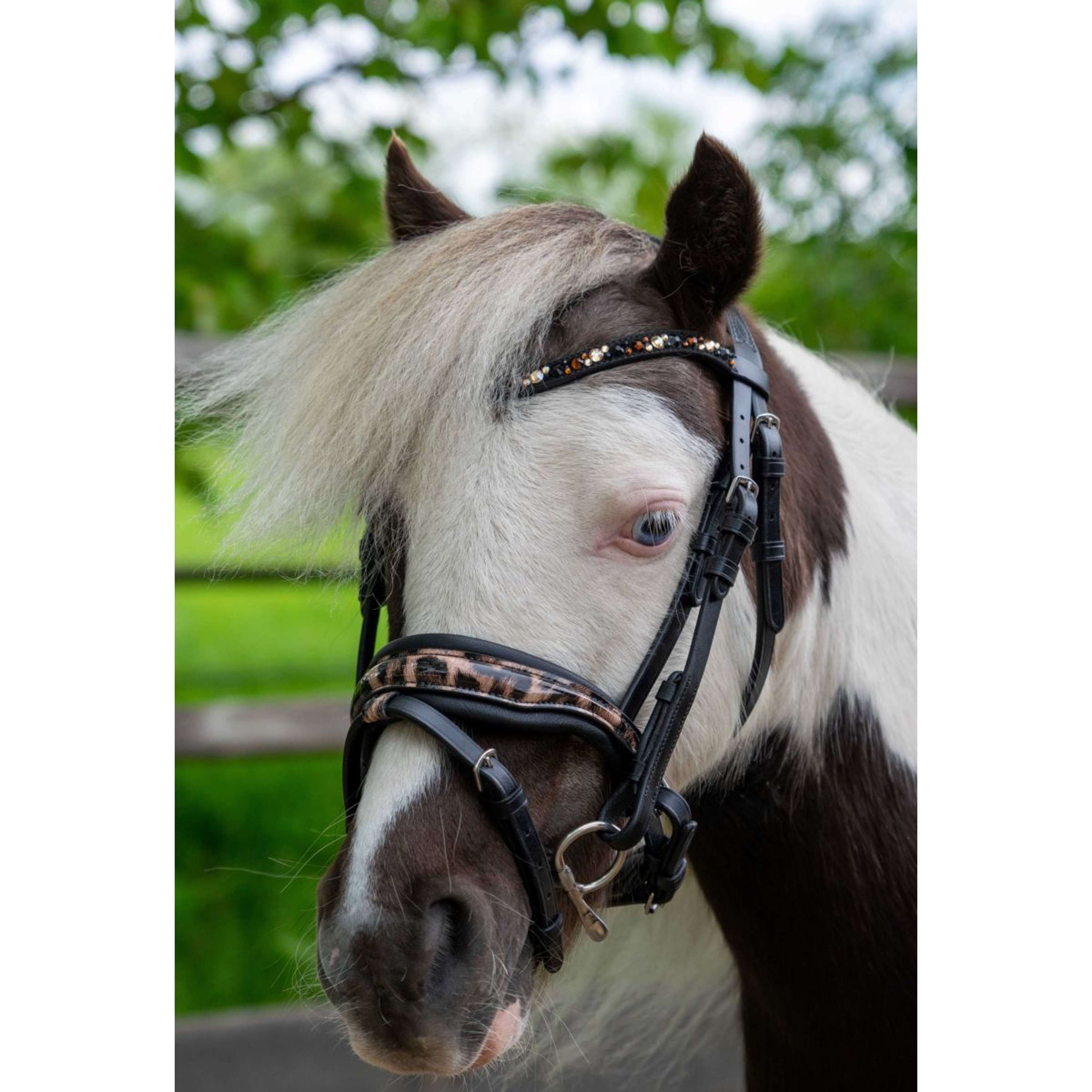 HB Ruitersport Bridle Showtime Leopard Black