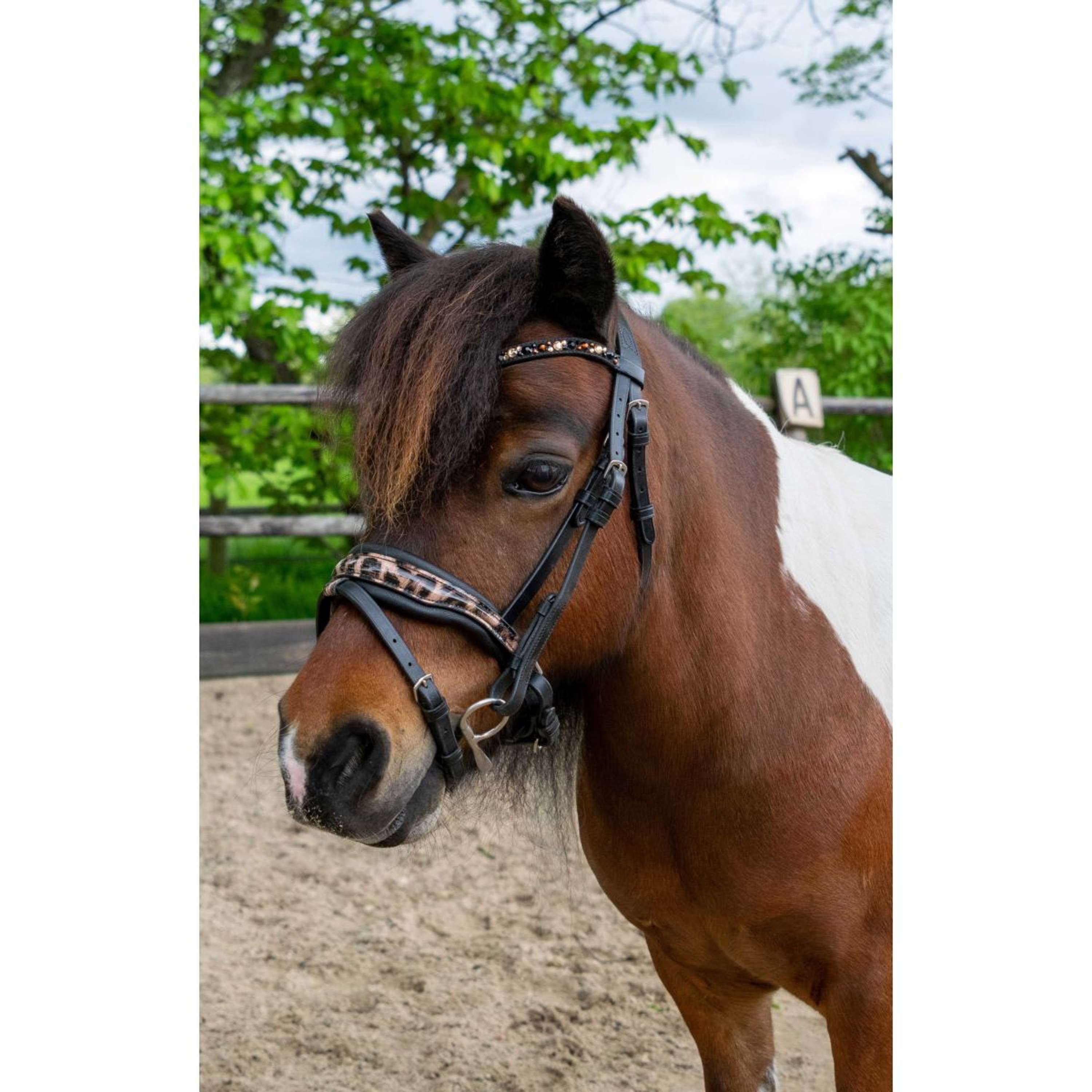 HB Ruitersport Bridle Showtime Leopard Black