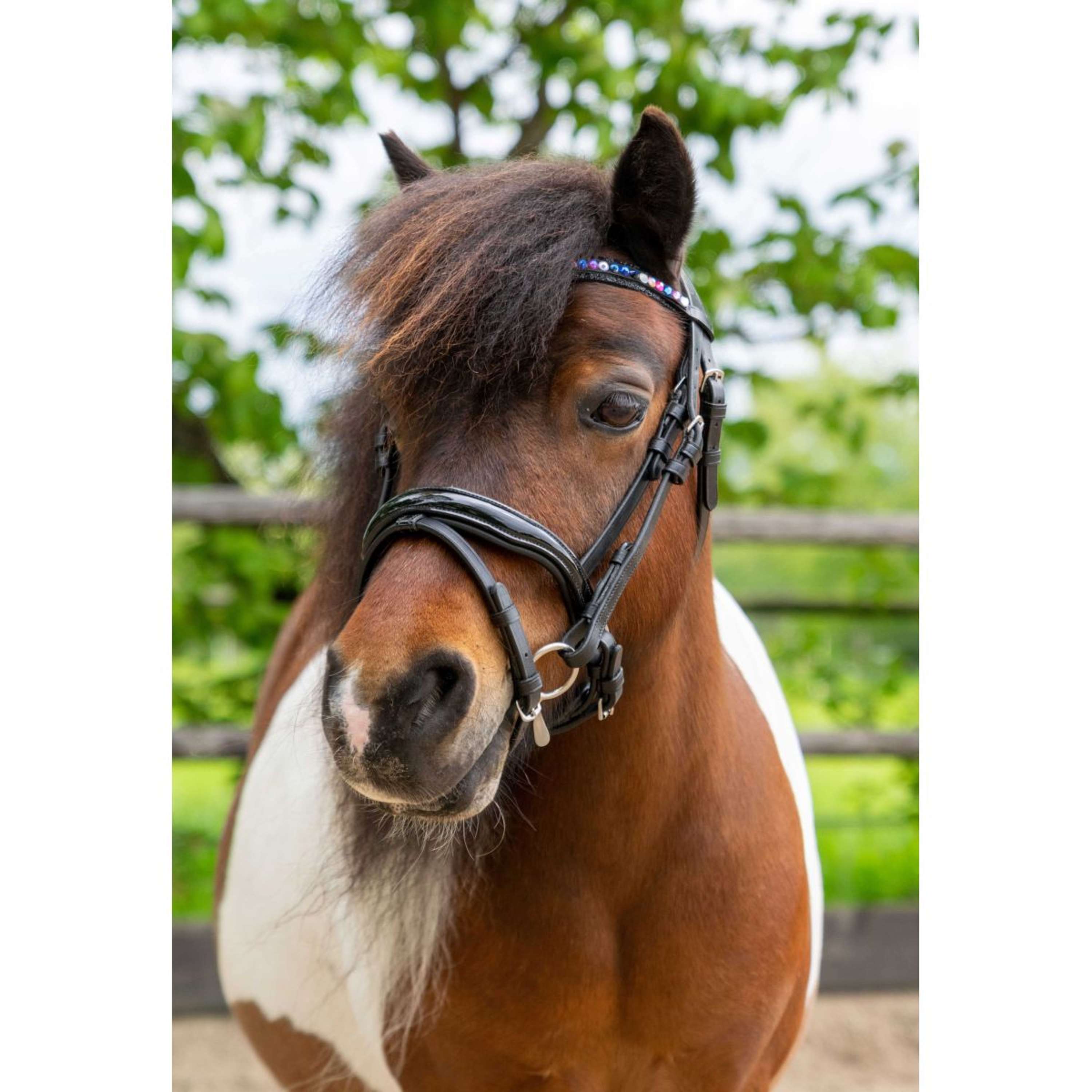 HB Ruitersport Bridle Showtime Petit Royal Black