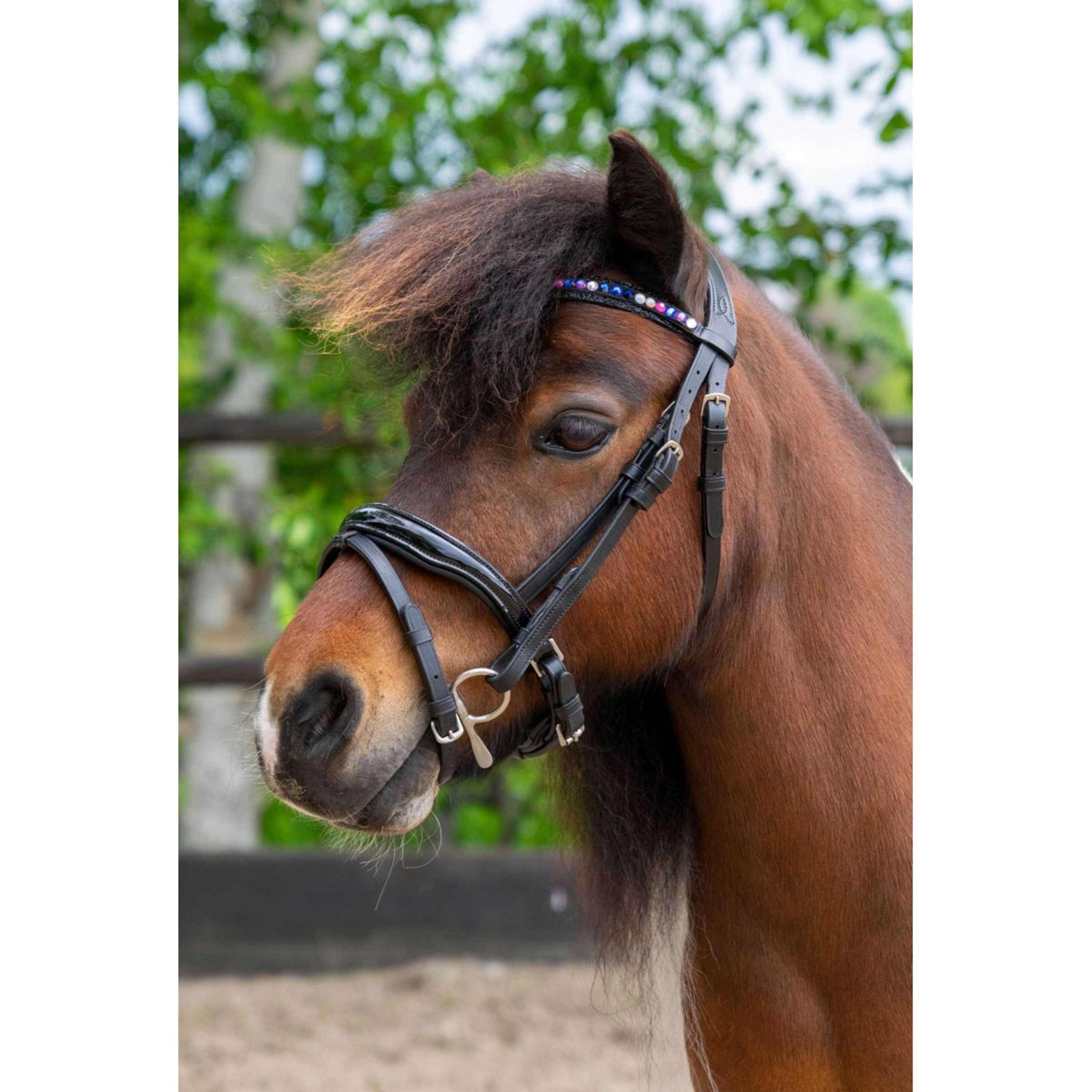 HB Ruitersport Bridle Showtime Petit Royal Black