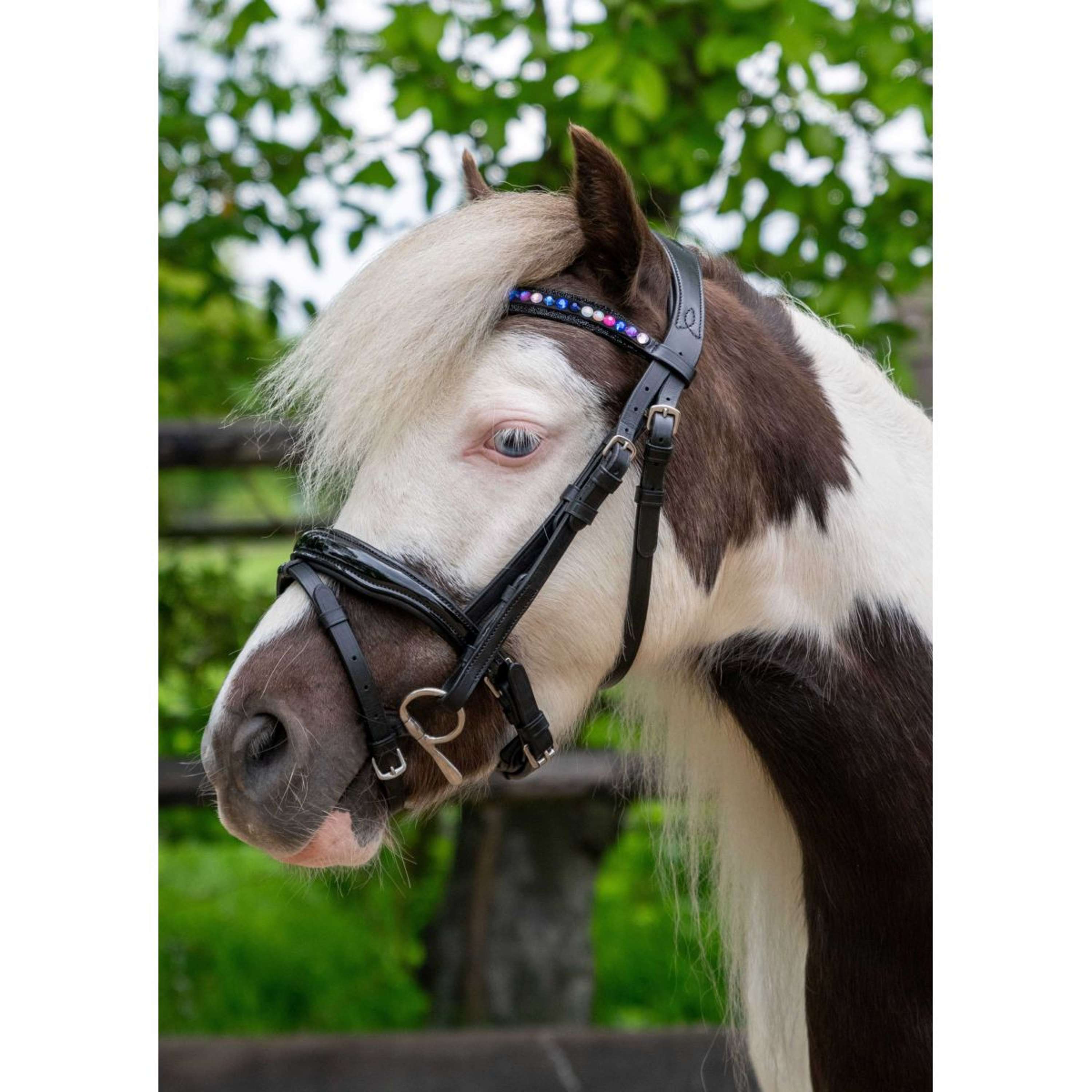 HB Ruitersport Bridle Showtime Petit Royal Black