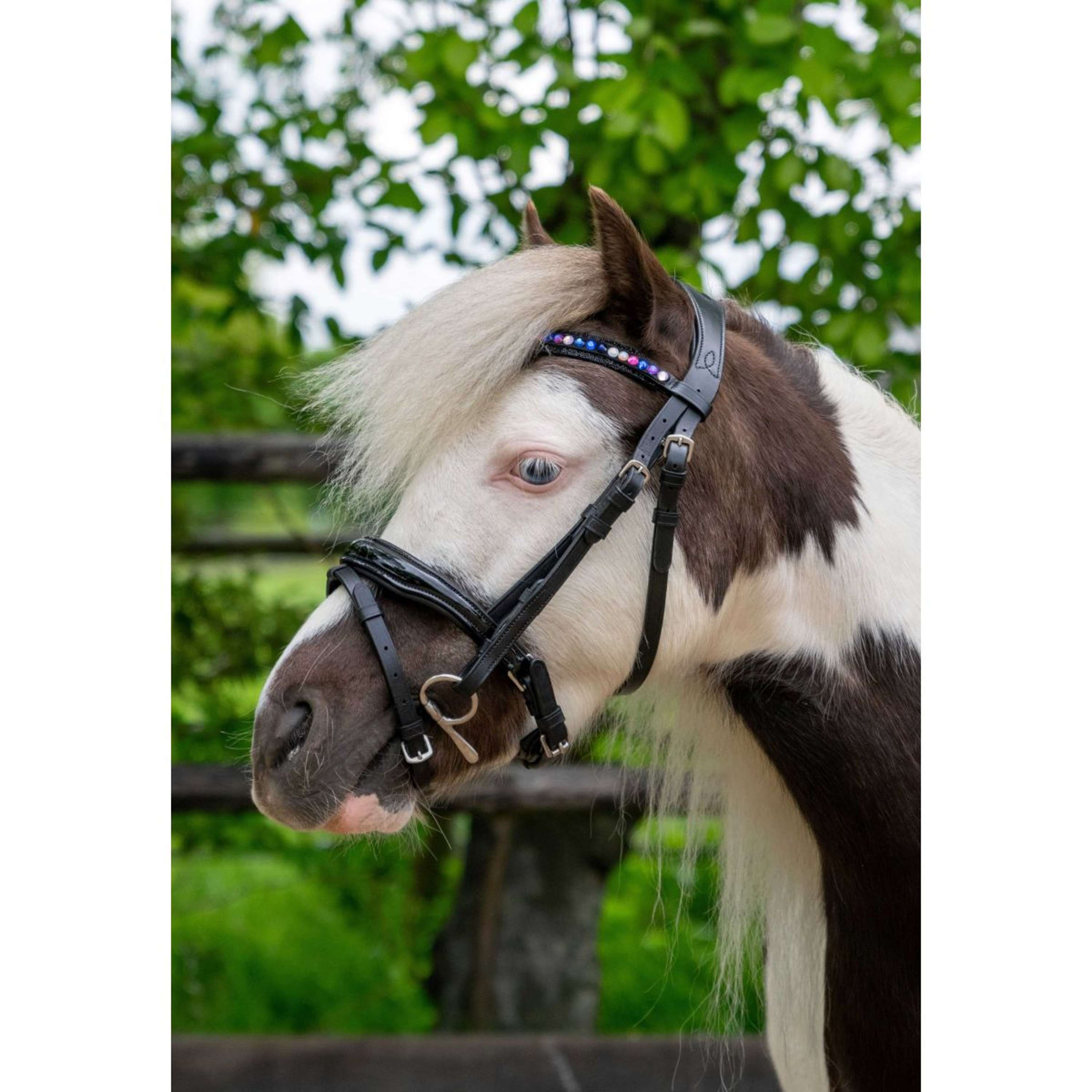 HB Ruitersport Bridle Showtime Petit Royal Black