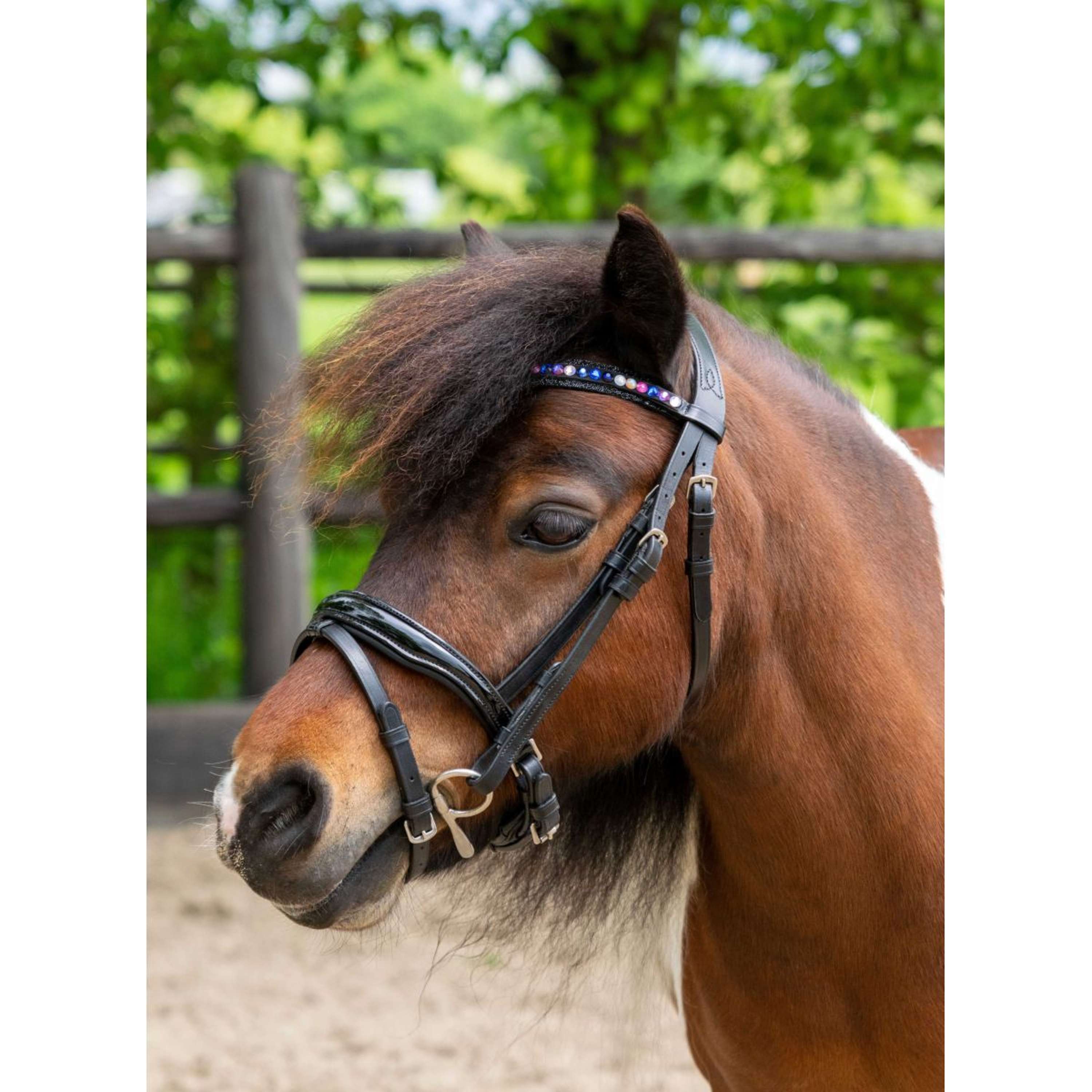 HB Ruitersport Bridle Showtime Petit Royal Black