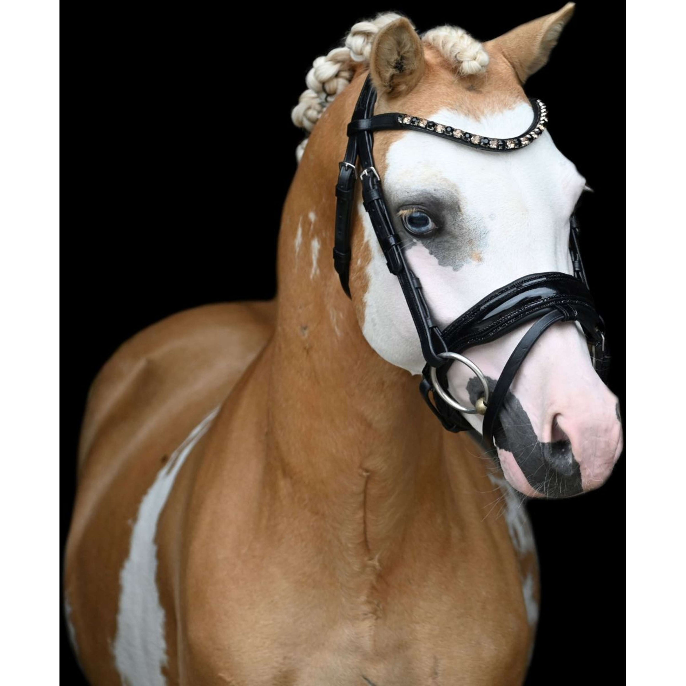 HB Showtime Bridle Special Black/Gold HB Showtime Bridle Special Black/Gold