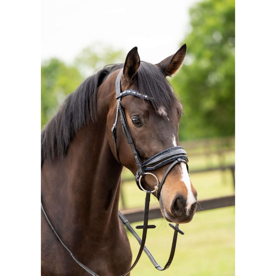 HB Showtime Bridle Las Vegas Black/Navy Glitter