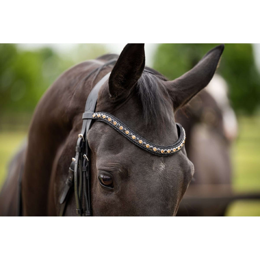 HB Showtime Bridle Las Vegas Black/Black Glitter