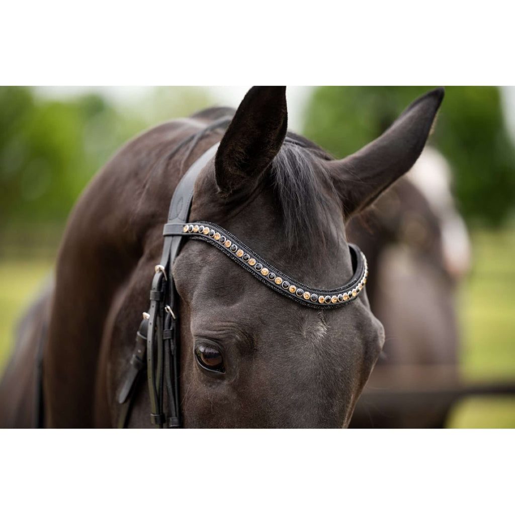 HB Showtime Bridle Las Vegas Black/Black Glitter