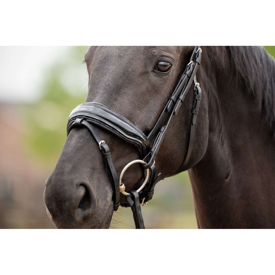 HB Showtime Bridle Las Vegas Black/Black Glitter