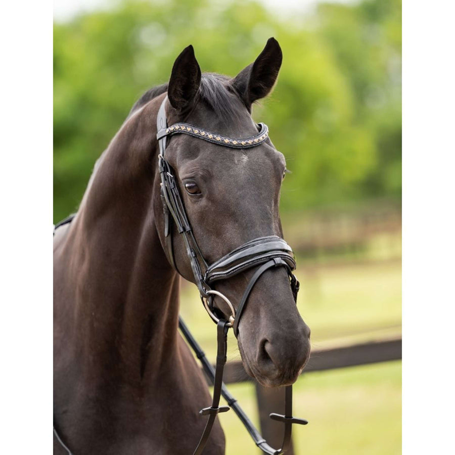 HB Showtime Bridle Las Vegas Black/Black Glitter