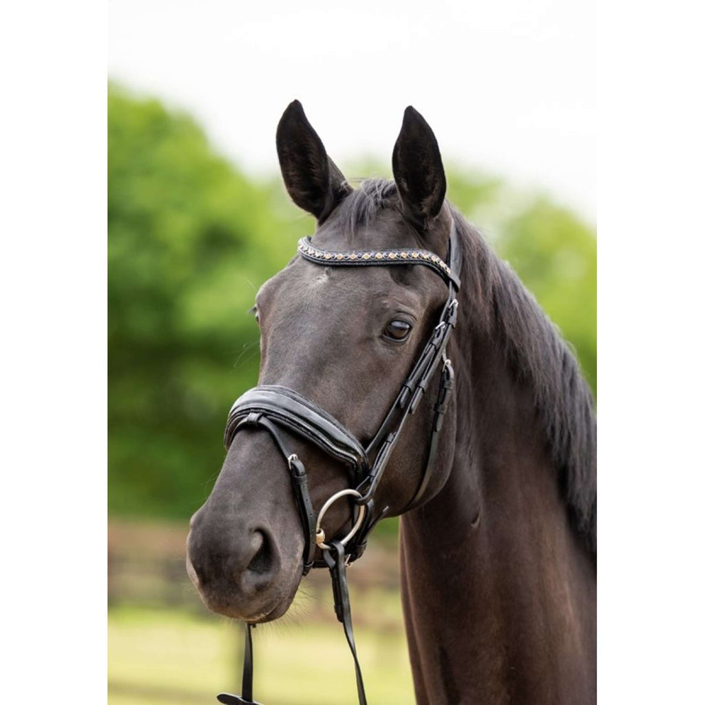HB Showtime Bridle Las Vegas Black/Black Glitter