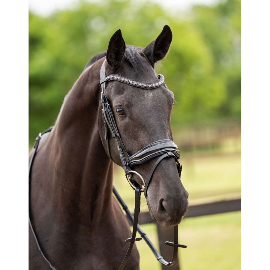 HB Showtime Bridle Las Vegas Black/Black Glitter