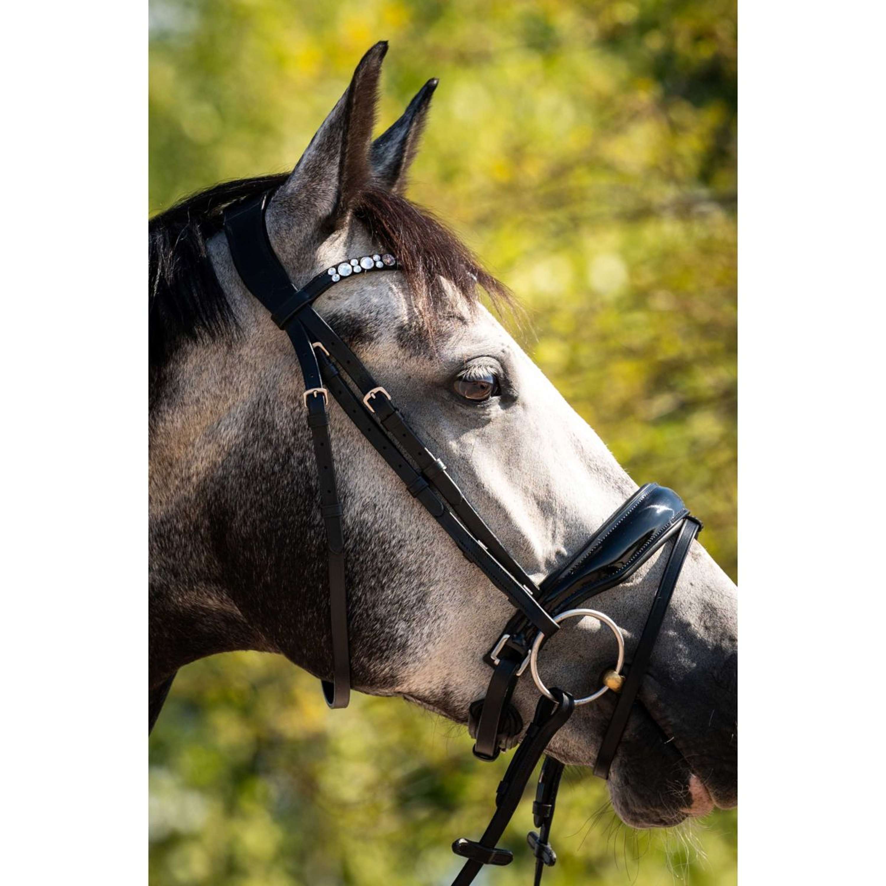 HB Ruitersport Bridle Showtime Ultimate Dream Black