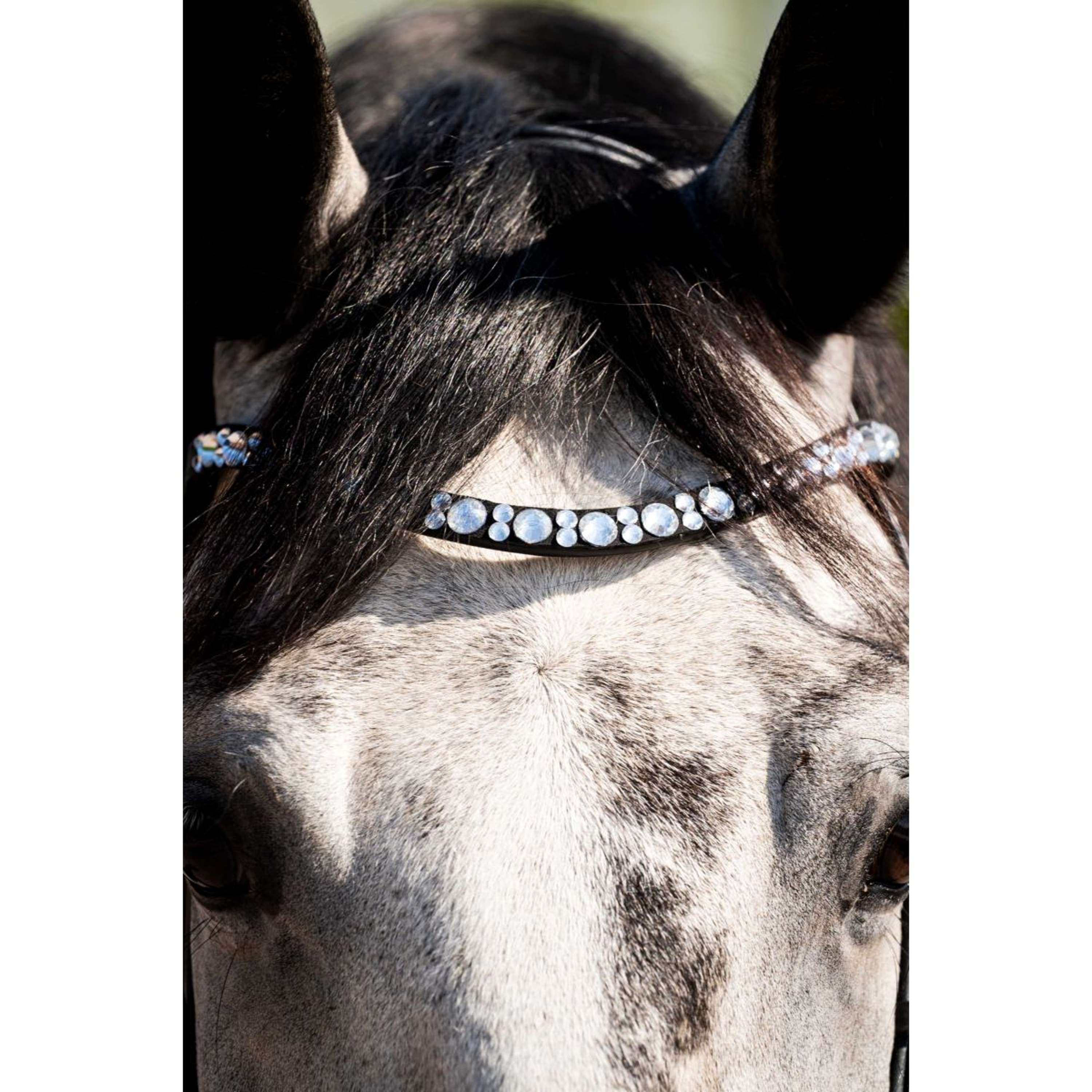 HB Ruitersport Bridle Showtime Ultimate Dream Black